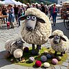 Wollfest VT-Veranstaltungen